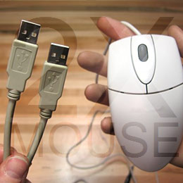2 x mouse