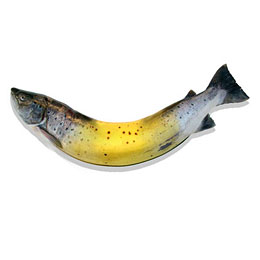 Banana fish