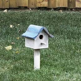 Cat birdhouse