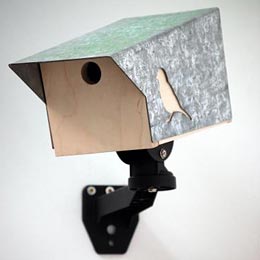 CCTV bird box