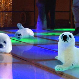 Clubbin' Baby Seals