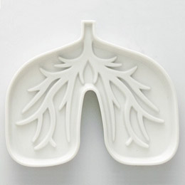 Lung ashtray