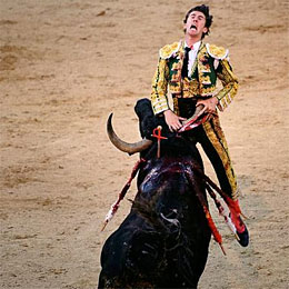 Matador gored