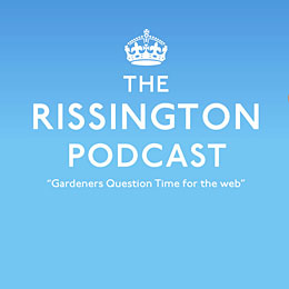 The Rissington Podcast