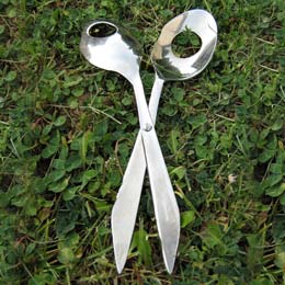 Spoon scissors
