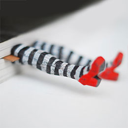 Wicked Witch bookmark