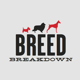 Breed Breakdown