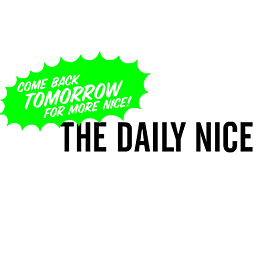 The Daily Nice