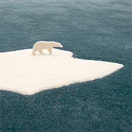 Global warming rug