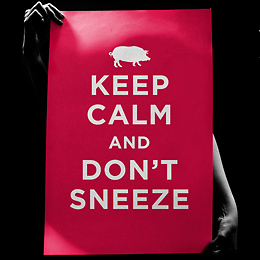 Keep Calm and Don't Sneeze
