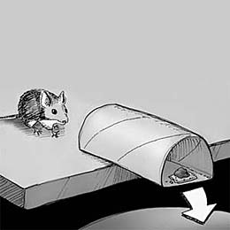 How to catch a mouse without a mousetrap